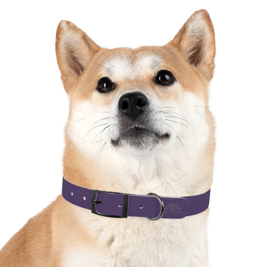 Waterproof Collar - Purple